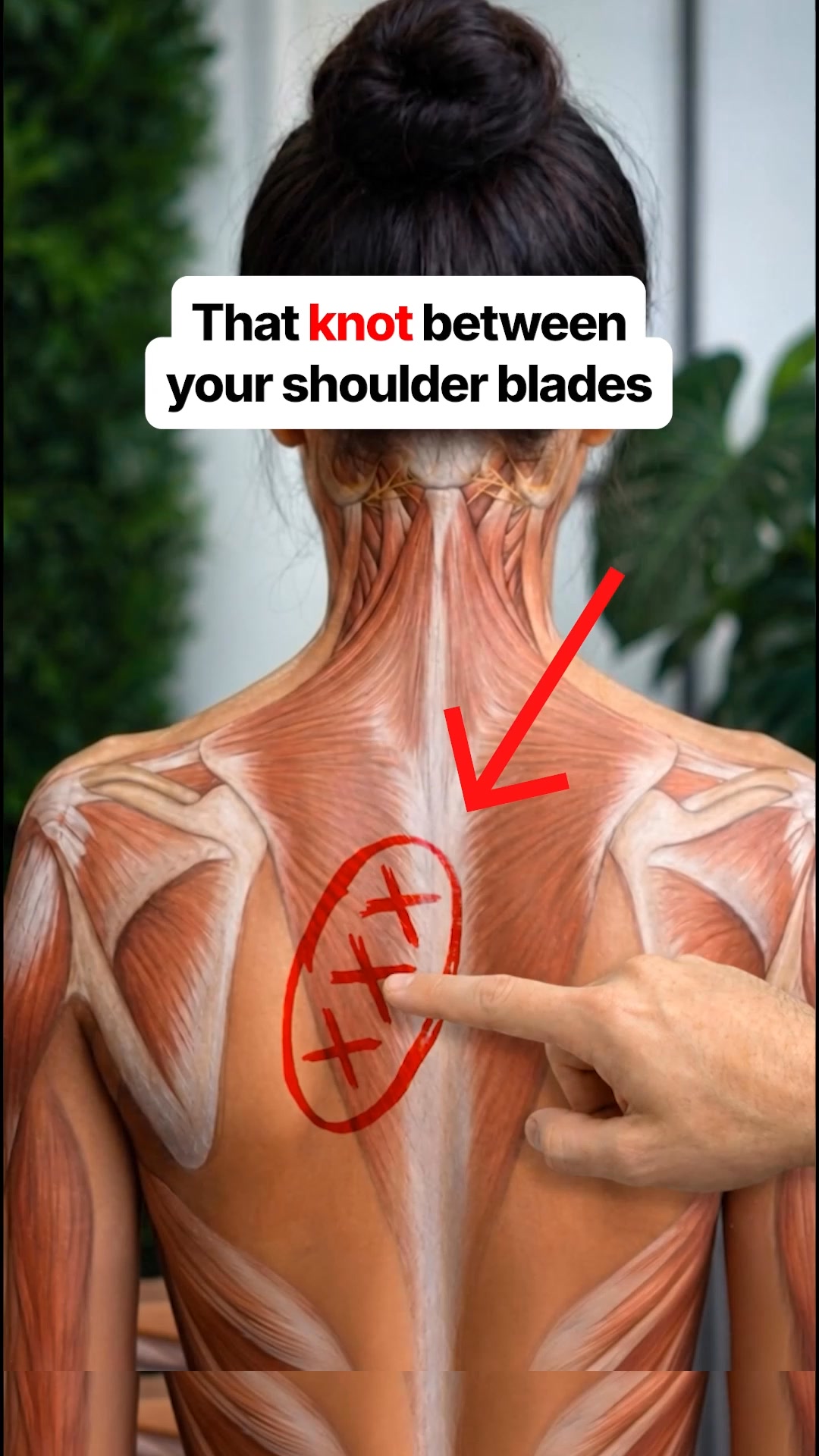 Pain Relief Backed By Science