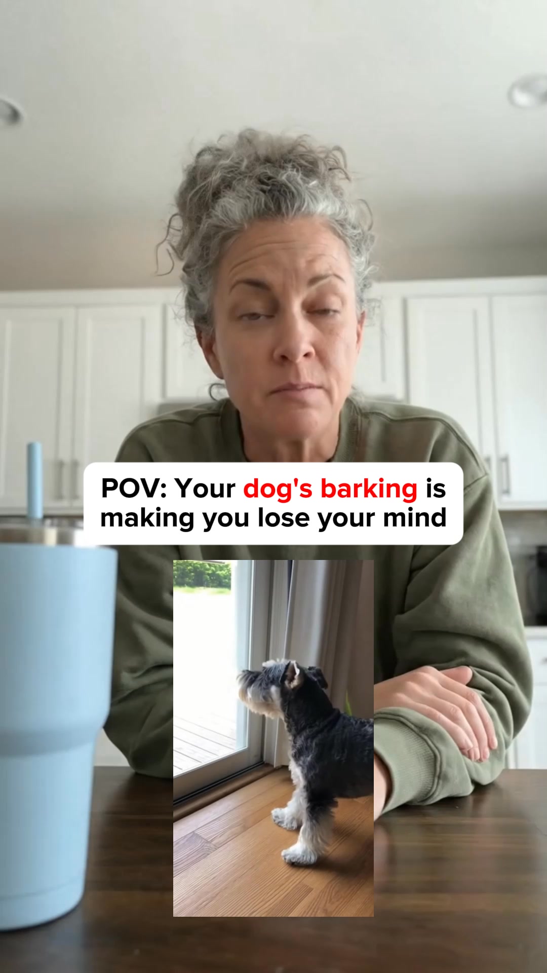 🐶 Claim your FREE Poop Bags + 40%OFF!