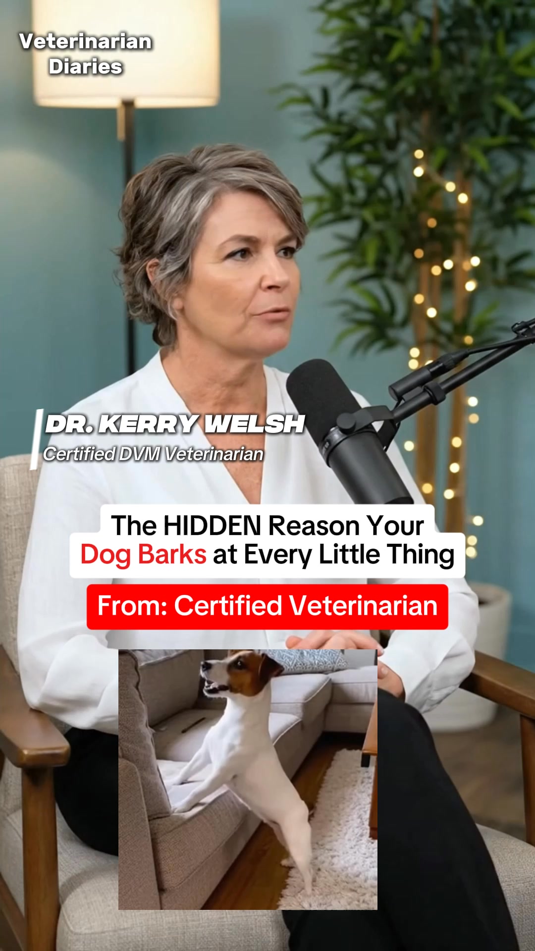 🐶 Claim your FREE Poop Bags + 40%OFF!