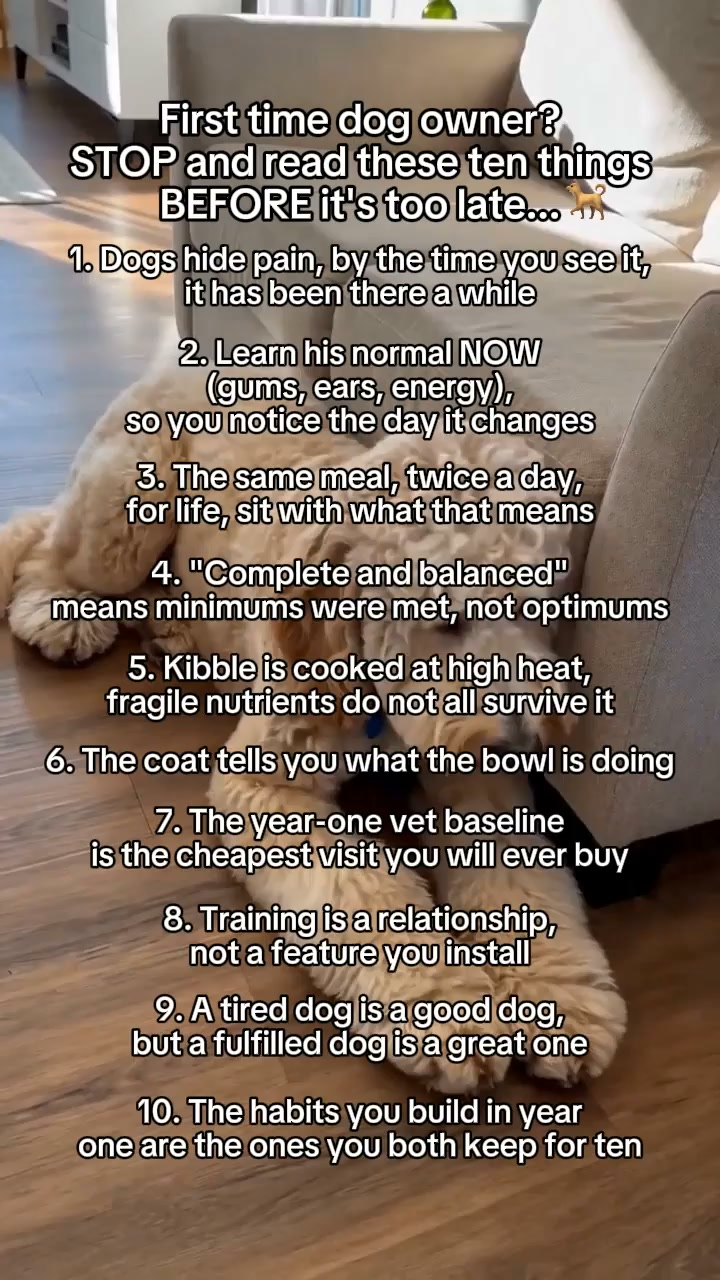 Items 3 to 6 are about the bowl