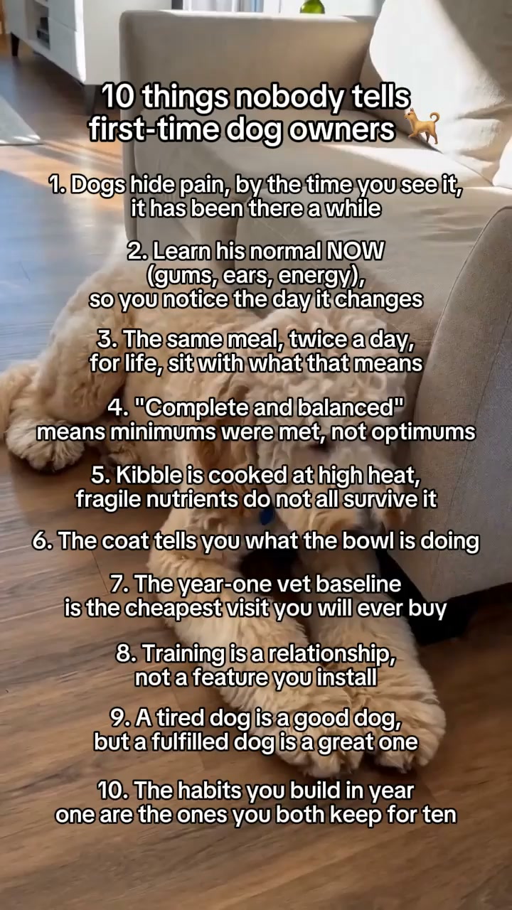 Items 3 to 6 are about the bowl