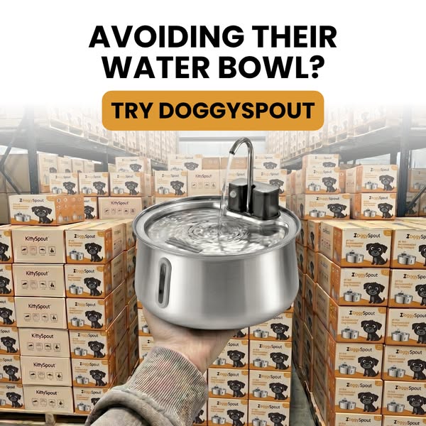 The #1 Vet Recommended Dog Fountain