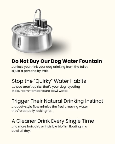 The #1 Vet-Recommended Dog Fountain