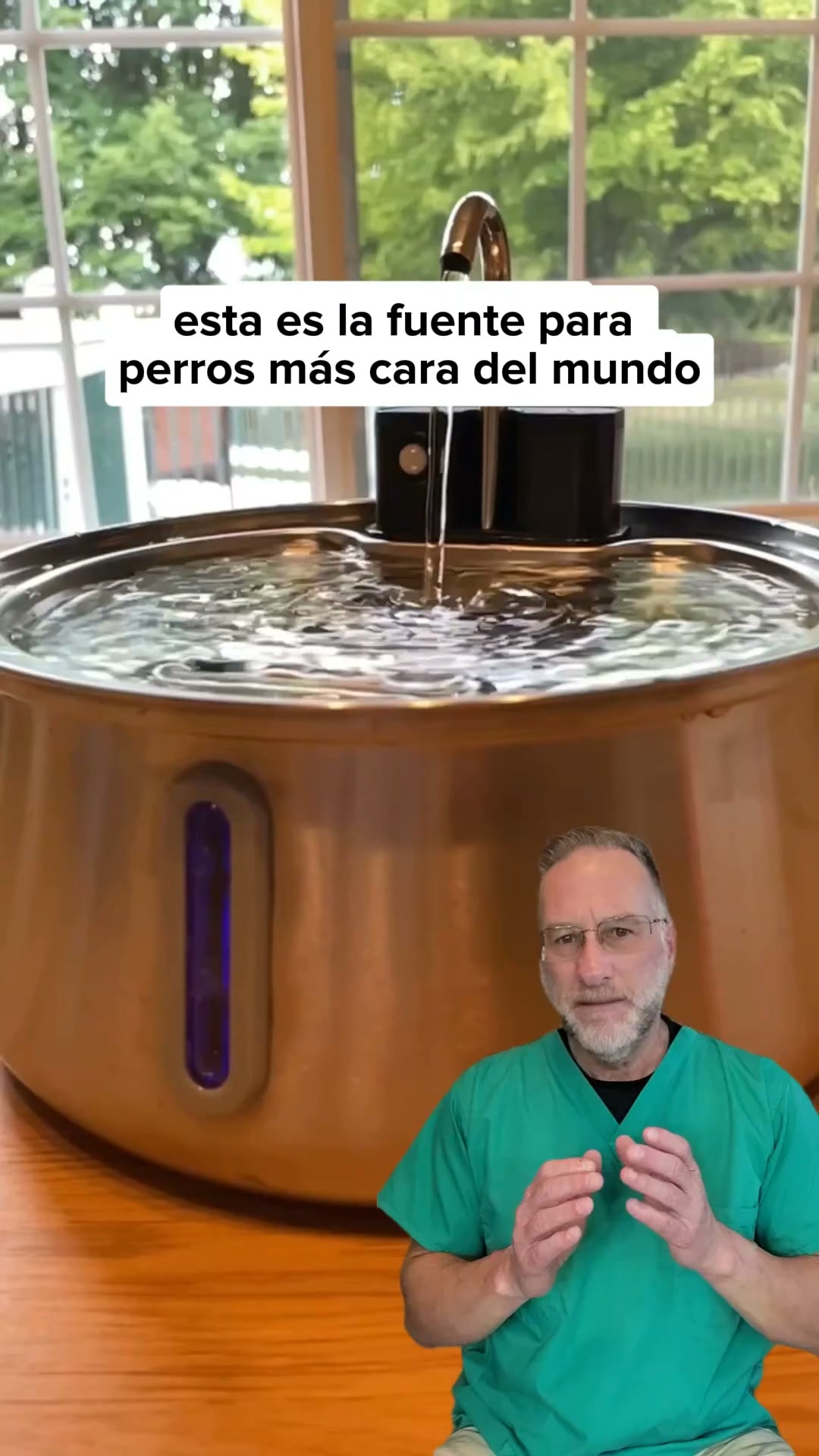 ¡La fuente para perros #1 recomendada por veterinarios!