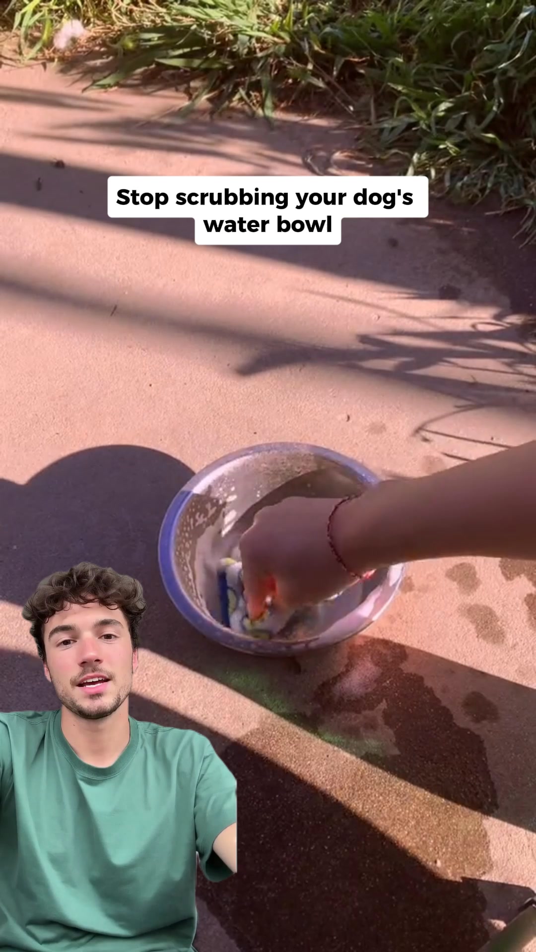 The #1 Vet Recommended Dog Fountain
