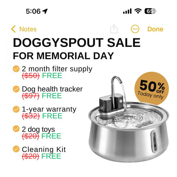 Your dog’s bowl is making them sick 🦠 🌡️