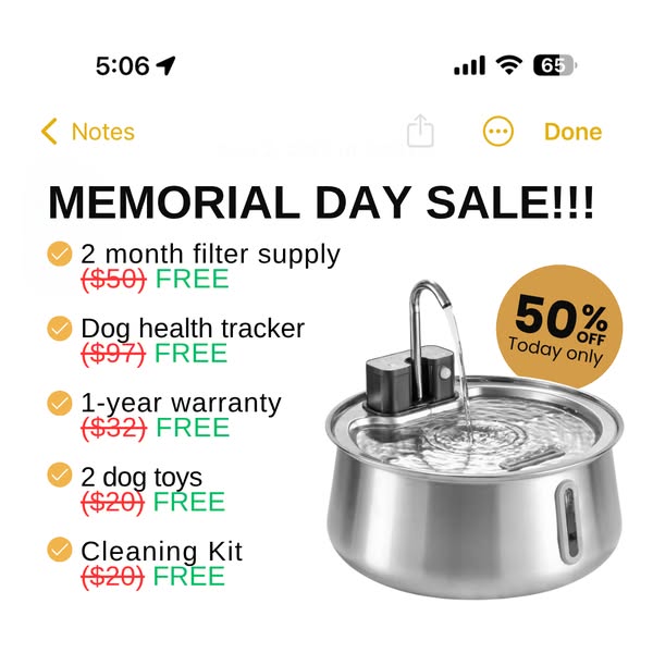 Your dog’s bowl is making them sick 🦠 🌡️