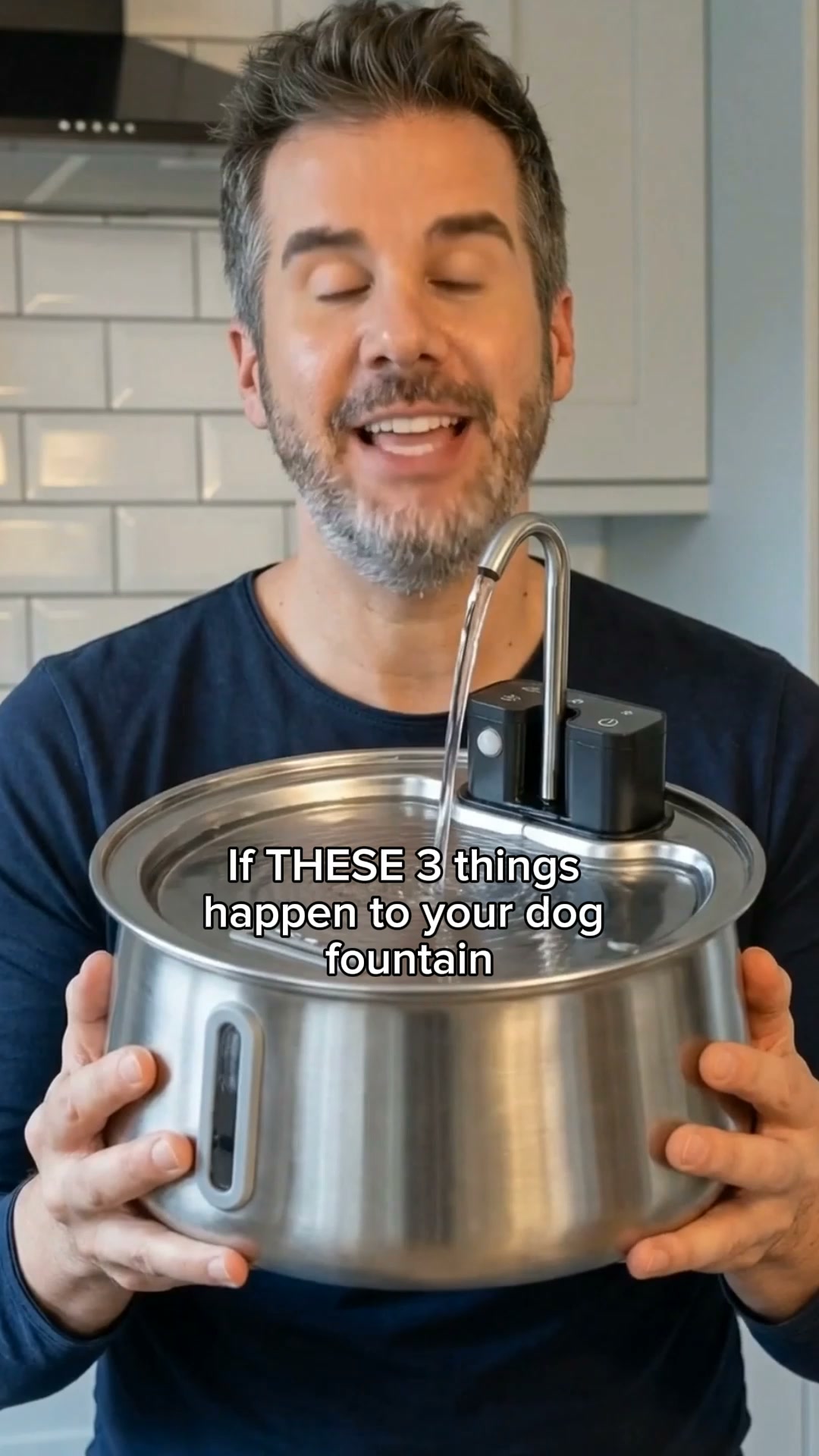 The #1 Vet-Recommended Dog Fountain