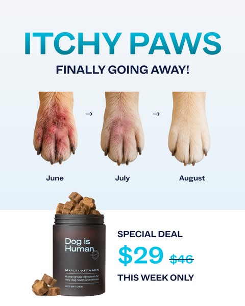 Real results in just 1 tasty chew