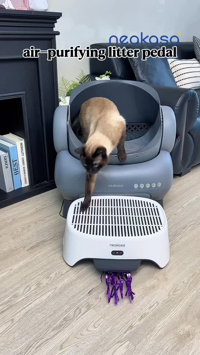 Smart control , even across the ocean, keeping your furry friend taken care of. & top entry litter box#CatProducts #cat#catlitterbox #Petproducts #couple neakasa Raisecats topentrylitterbox NeakasaM1 CatLitterBox SmartLitterBox OpenTopLitterBox LitterRobot