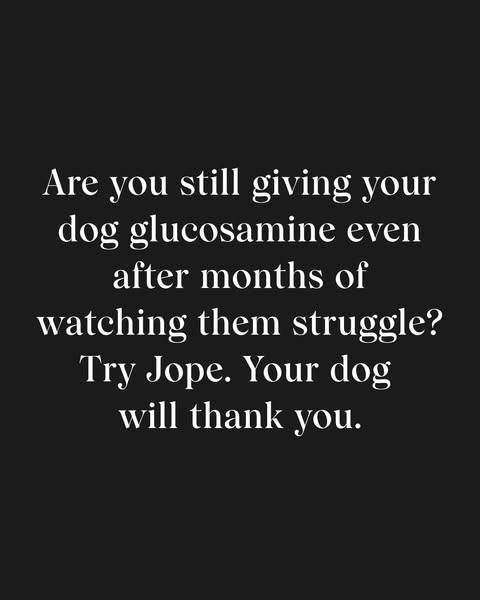 Help Your Dog Move Like Before
