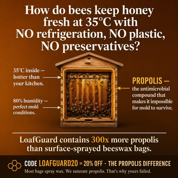 Bees Keep Honey Fresh At 35°C With No Fridge. The Reason Is Propolis. We Put 300x More Of It In Your Bread Bag.